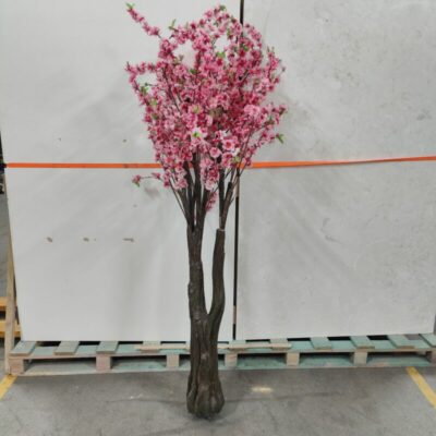 LRCDEC172-IMG20241211114421