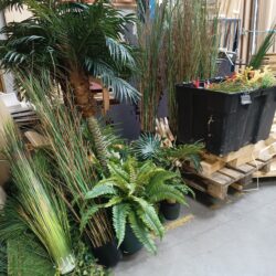 CDODECO003-IMG_20250417_171826364