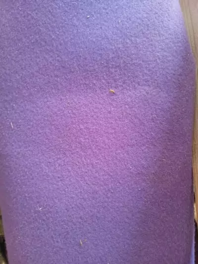 LRCMAT050-IMG_20250710_100902902