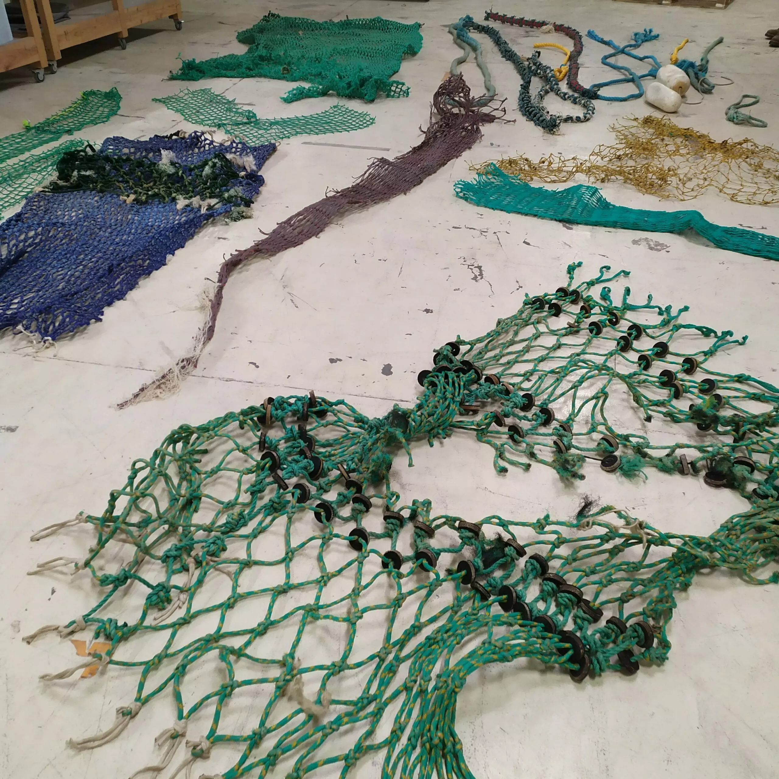 LRCDEC187-IMG_20250116_115342