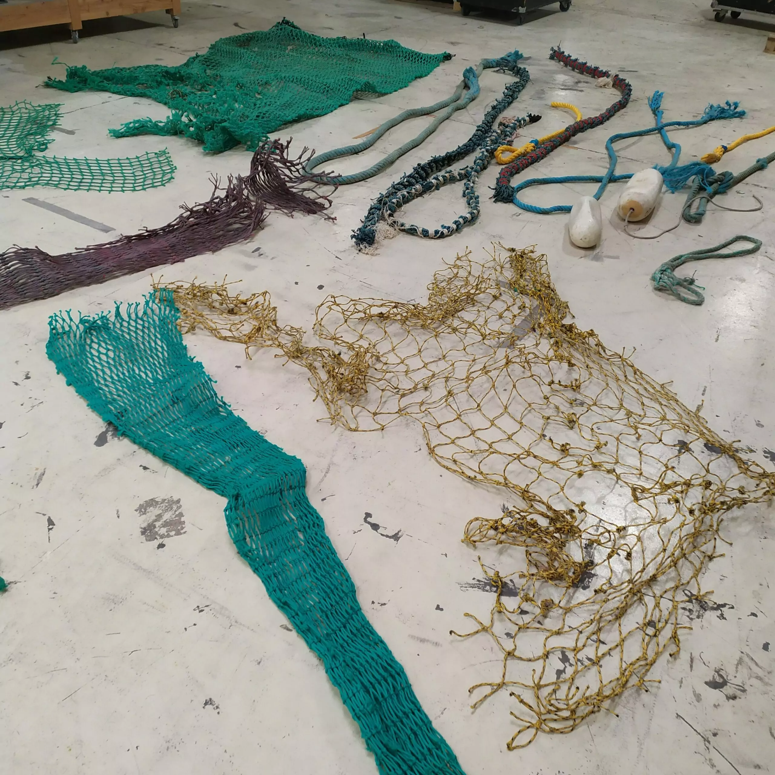 LRCDEC187-IMG_20250116_115348