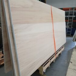 GENMAT006-IMG_20250909_104443867