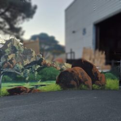 OPRDEC002-IMG-20251118-WA0005