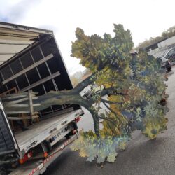 OPRDEC006-IMG-20251119-WA0055