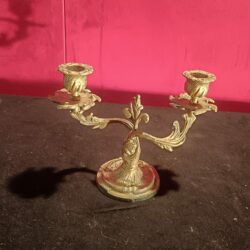 HOLACC119-IMG-20260219-WA0109